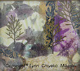 Lavendar