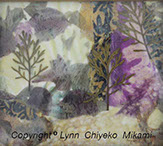 Lavendar