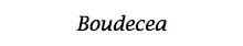 Boudecea